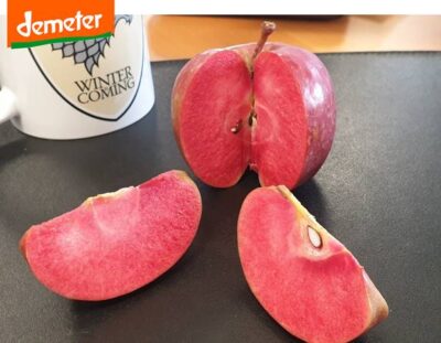 Red Moon Apples