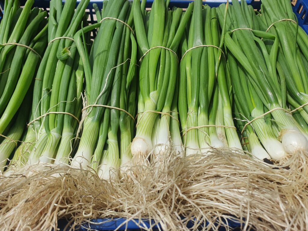 Spring Onions from Simpson