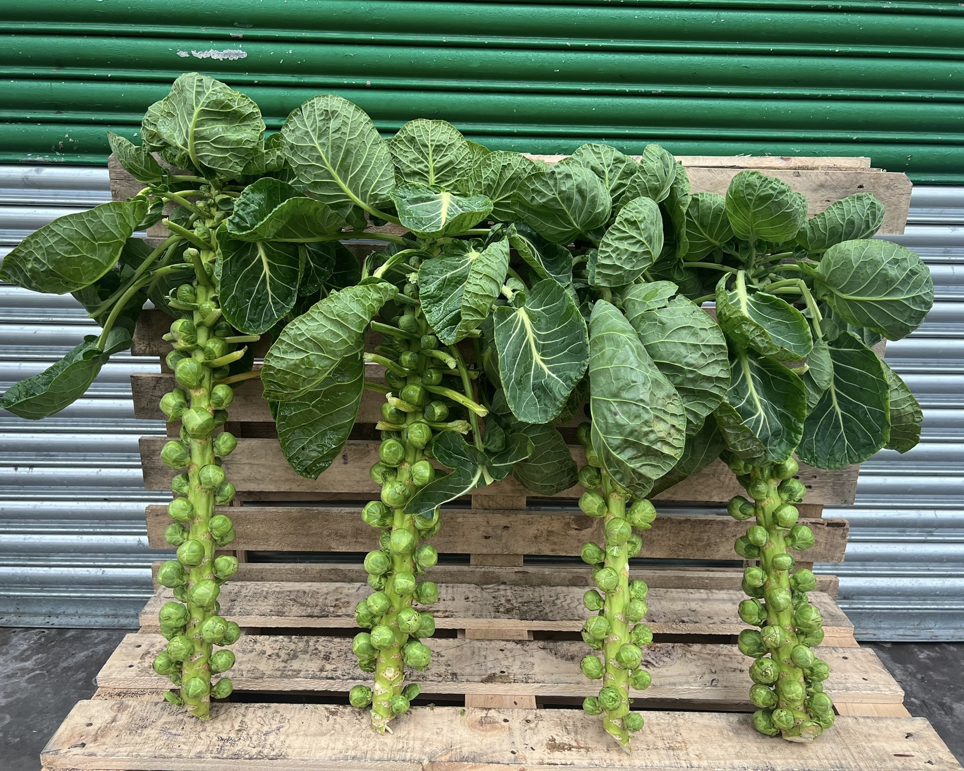 PHOTO-2023-12-12-09-53-09