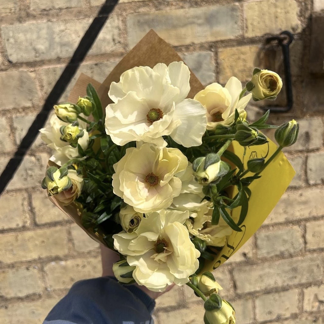 f4125158-08bf-4003-8a5e-e7c6f68d9dd5